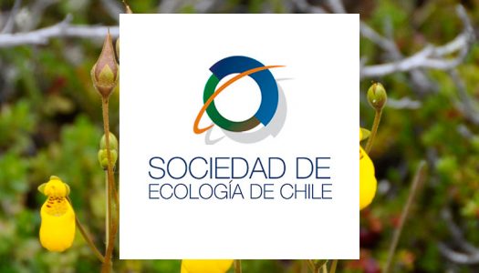 PROYECTO DE LEY QUE CREA EL SERVICIO DE BIODIVERSIDAD Y PARQUES NACIONALES (2011)