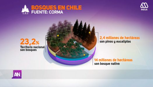 [​MEGA ​REPORTAJE] Bosques en peligro​. ​Participan Christian Salas y Andrés Fuentes miembros de nuestra sociedad.