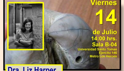 Conferencia Braquiópodos en el mundo moderno (Dra. Liz Harper)
