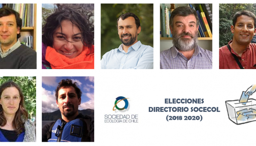 Lista de Candidatos Elecciones SOCECOL 2018