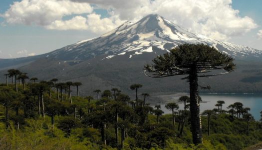 Campaña por un Servicio de Biodiversidad y Áreas Protegidas #YoQuieroSBAP