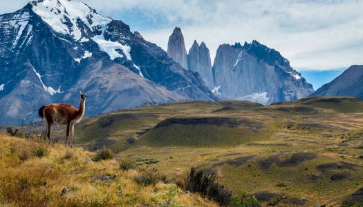 ¿Valdría la pena la aprobación del SBAP?