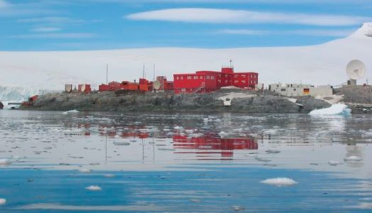 Covid-19 en la Antártica: un continente hasta ahora libre de virus, pero vulnerable