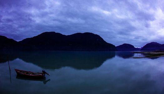 ¿Cuáles son los desafíos pendientes en conservación marina?