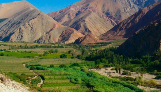 Con foros virtuales buscan proteger patrimonio natural del Valle de Elqui