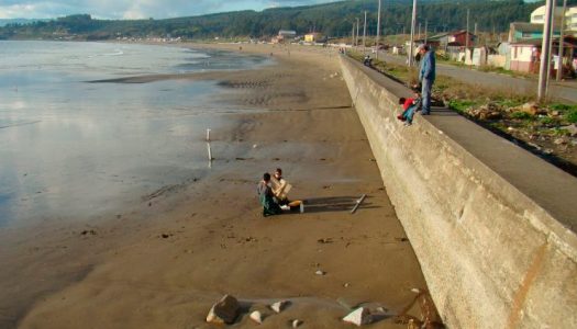 Científicos de Chile alertan sobre los efectos causados por las defensas costeras para los macroinvertebrados