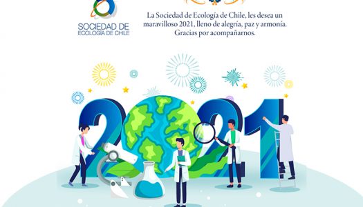 La SOCECOL les desea un maravilloso año nuevo 2021