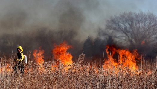 Ignición, combustible, sequía y tiempo apropiado: los ingredientes de los grandes incendios forestales