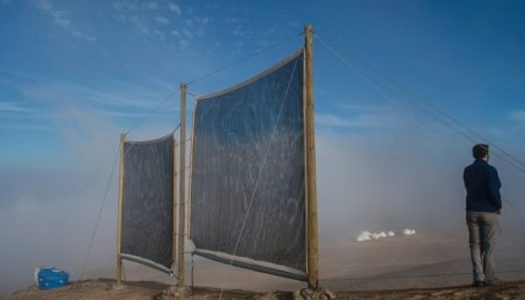 Desde Chile hasta Marruecos: La captura de niebla y su potencial frente a la crisis hídrica