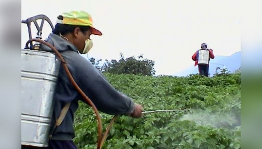 Niveles de exposición de la población a los plaguicidas en Chile superan los índices internacionales