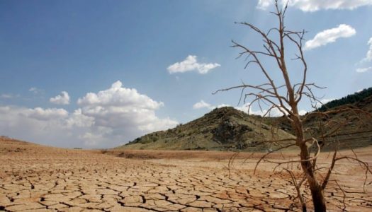 El costo del cambio climático es 37% superior al estimado, según informe económico