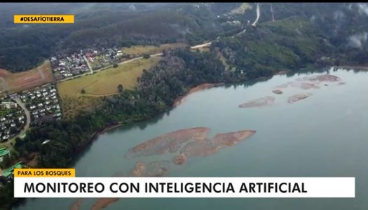 Valdivia y la búsqueda de la sustentabilidad: Desde taxis solares hasta IA para monitorear el bosque