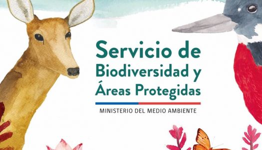 Servicio de Biodiversidad avanza en su trámite legislativo en la Comisión de Agricultura de la Cámara de Diputados