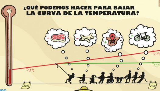 Estos son los cambios en nuestro estilo de vida que sí importan frente a la crisis climática