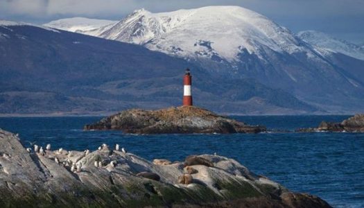 “Por razones climáticas”: Nova Austral anunció cierre de centro de cultivo en Magallanes