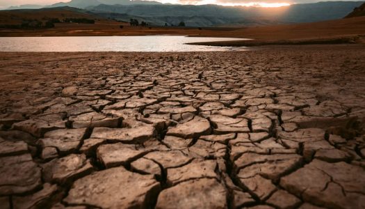 Declaración Pública: La agenda política debe abordar decididamente la crisis climática y ambiental