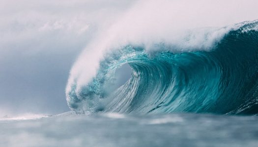 Estudio alerta que el 2021 fue el peor año para los océanos: Por tercer año consecutivo registraron cálidas temperaturas