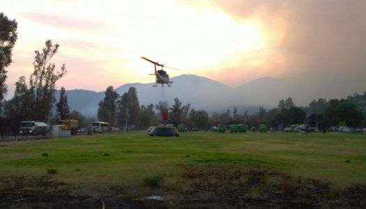 Después de cinco años: Impactos de megaincendios siguen latentes en la zona centro-sur de Chile