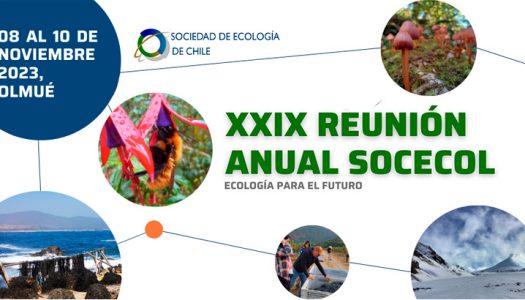 XXIX Reunión Anual 2023